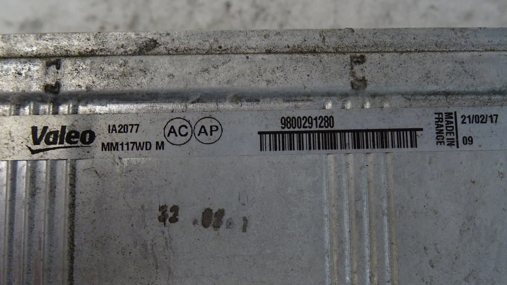 DSC09009.JPG