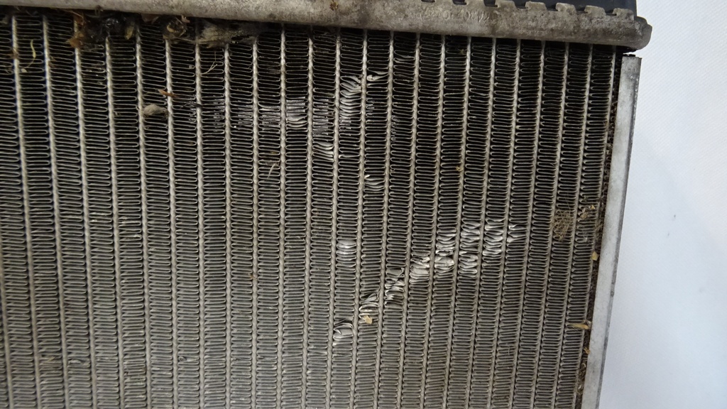 DSC09039.JPG