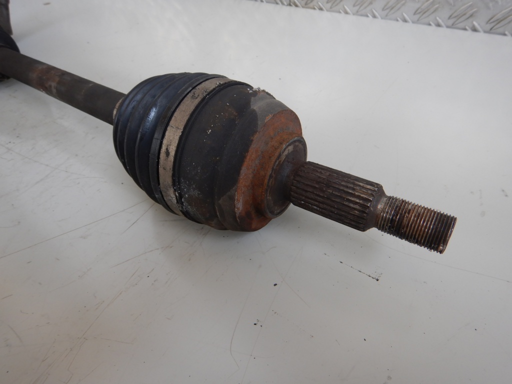 DSCN4160.JPG