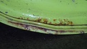 DSC09483.JPG