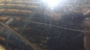 DSC09603.JPG