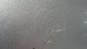 DSC00307.JPG