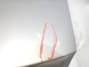 DSCN9332.JPG