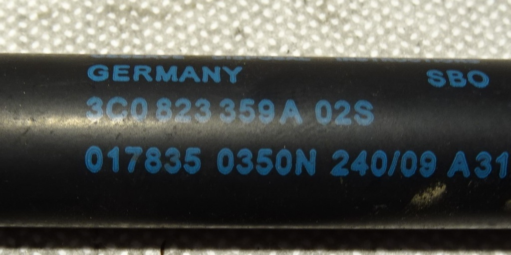 DSC04861.JPG