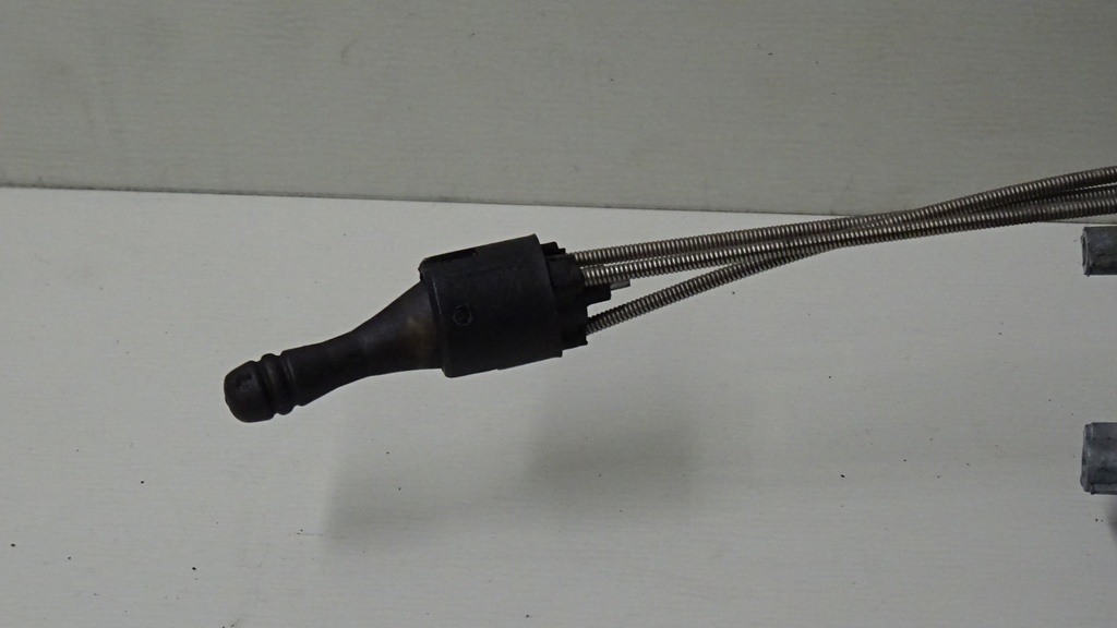 DSC05124.JPG