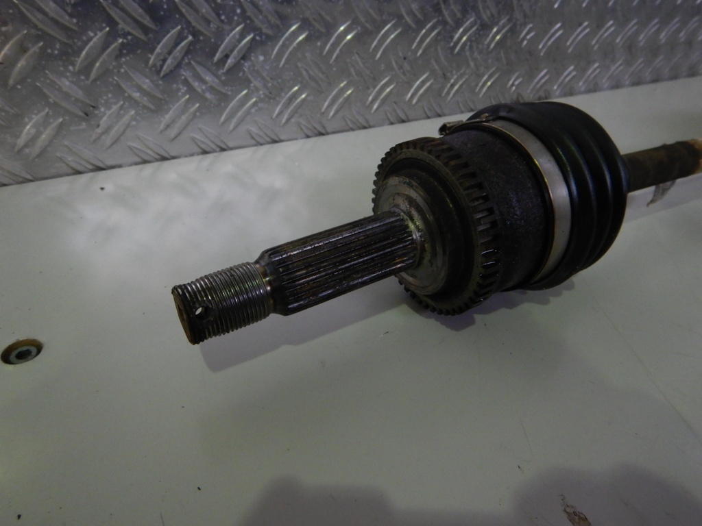 DSCN4500.JPG