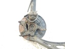 DSCN2178.JPG
