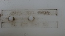 DSC07192.JPG