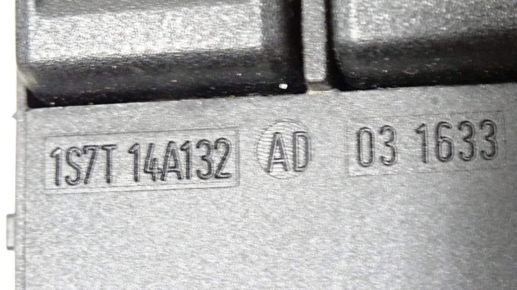 DSC07788.JPG