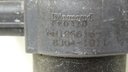 DSC08229.JPG