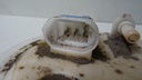 DSC08842.JPG