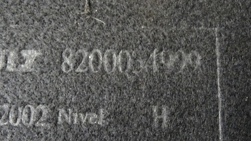 DSC09494.JPG