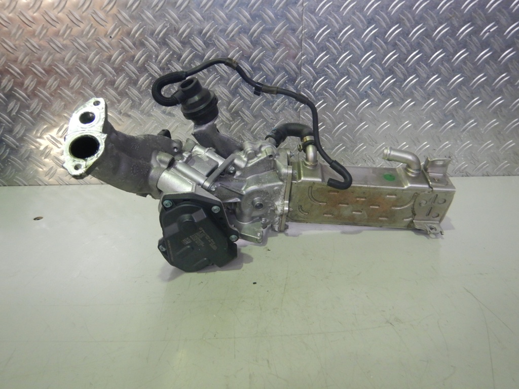 DSCN5294.JPG
