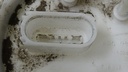 DSC01810.JPG