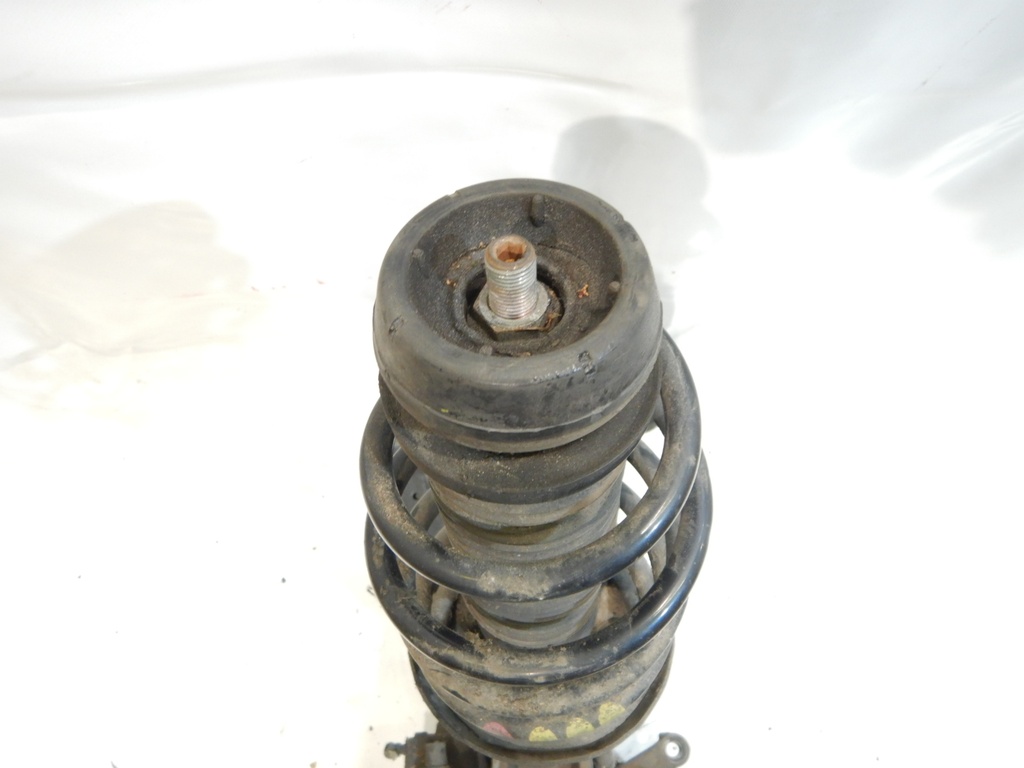 DSCN4533.JPG