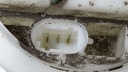 DSC02495.JPG