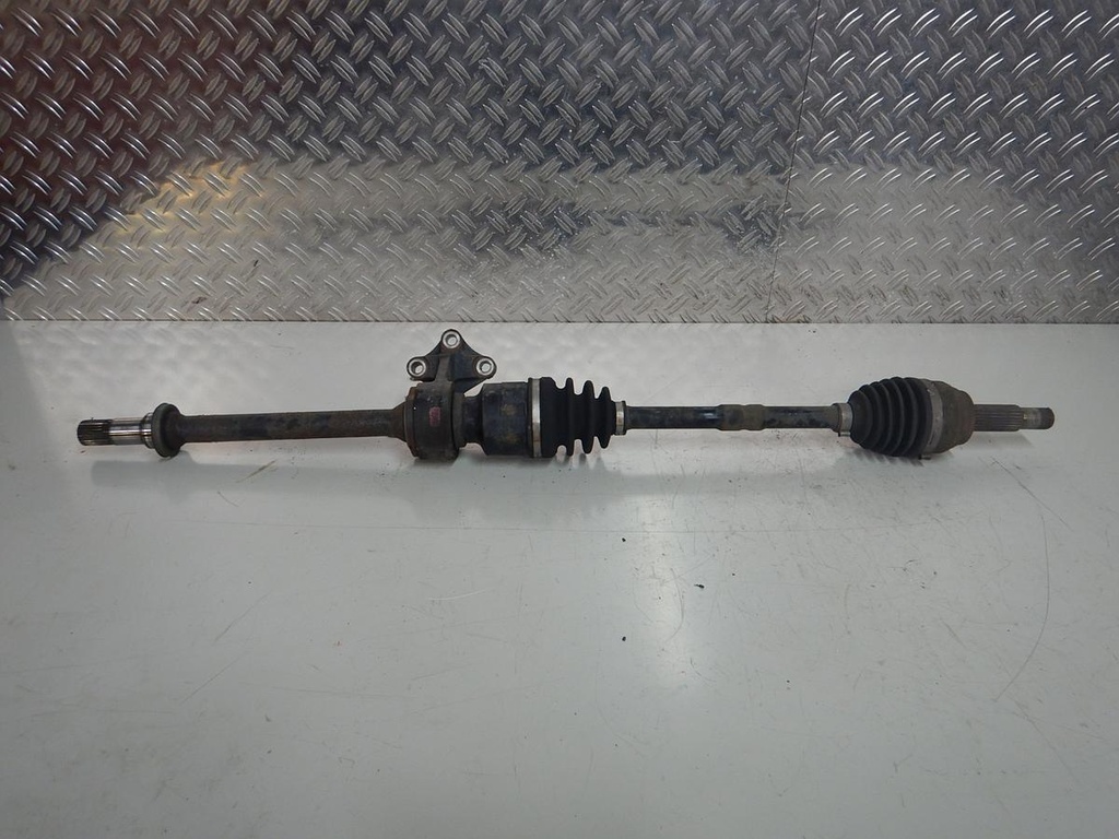 DSCN5547.JPG
