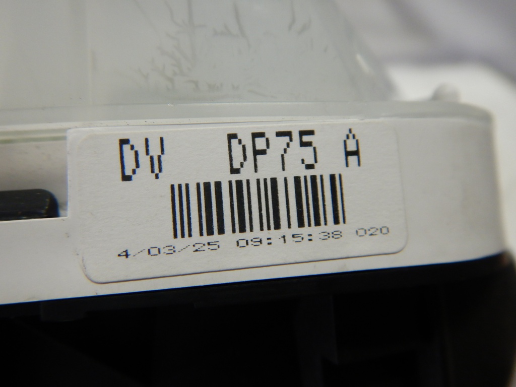 DSCN6228.JPG