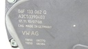 DSC07981.JPG
