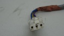 DSC08183.JPG