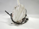 DSCN7798.JPG