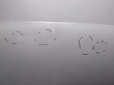 16466527781781054508168058790120.jpg
