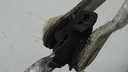 DSC09128.JPG