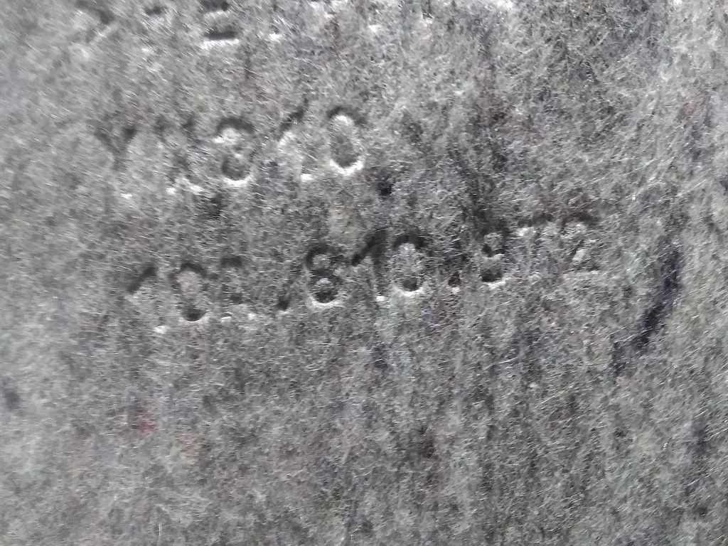 1646906027034281342291523700702.jpg