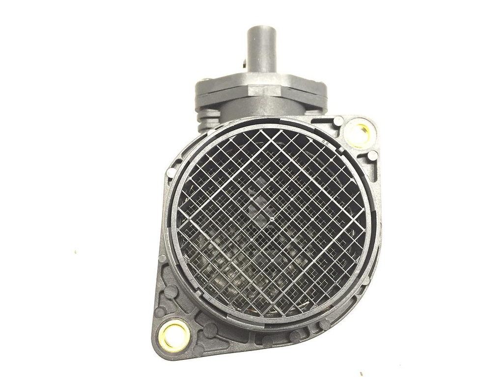 IMG_5924.JPG