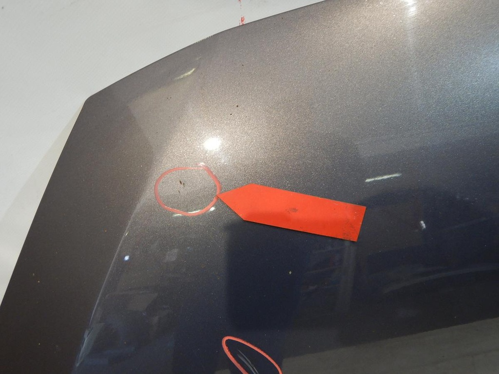 DSCN8698.JPG