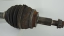 DSC01021.JPG