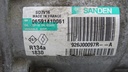 DSC01182.JPG