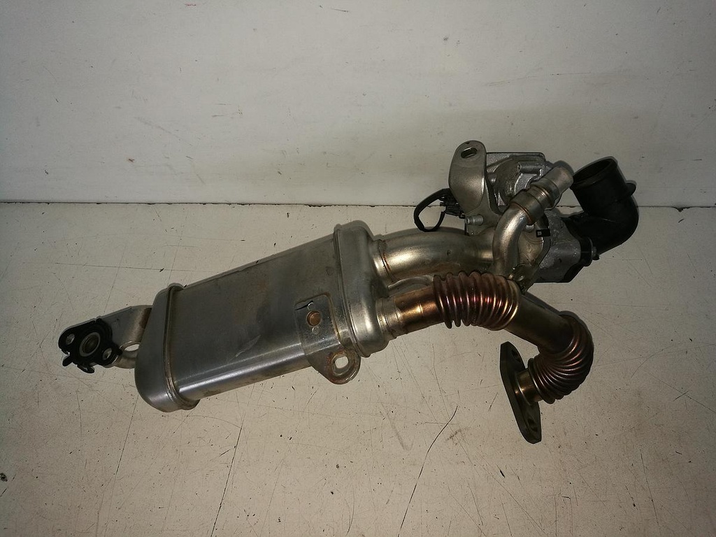 IMG_20220422_133852[1].jpg
