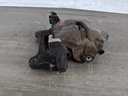 IMG_20220426_135030.jpg