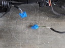 IMG_20220427_132901.jpg