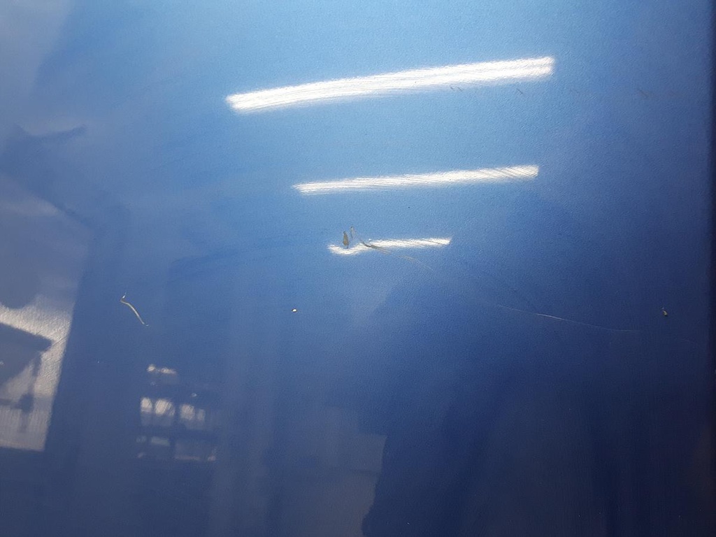 20220520_111724.jpg