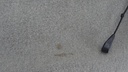 DSC04558.JPG