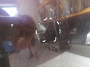 IMG_20220615_102300.jpg