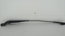DSC06079.JPG