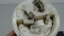 DSC06699.JPG