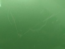 16566011948576531948356228989742.jpg
