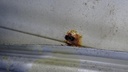 DSC07312.JPG