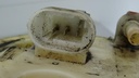DSC07675.JPG