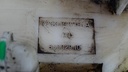 DSC07674.JPG