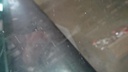 DSC08044.JPG