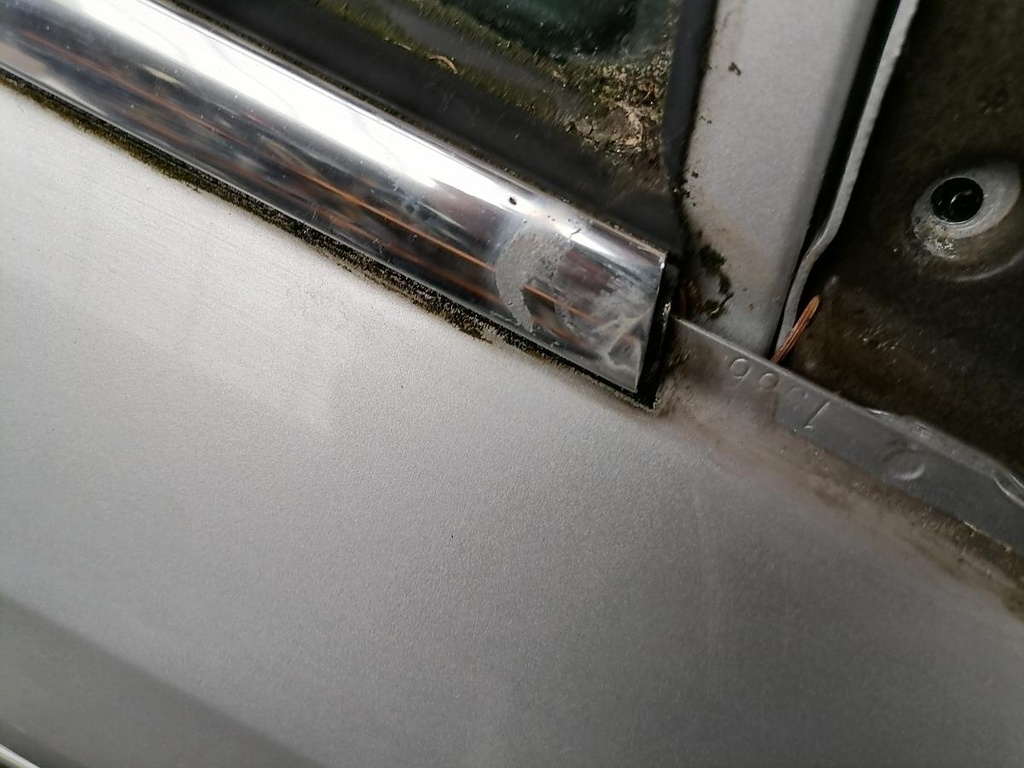 IMG_20220721_104458.jpg