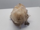 20220726_082511.jpg