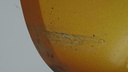 DSC08987.JPG