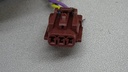 DSC09136.JPG