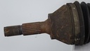 DSC09631.JPG